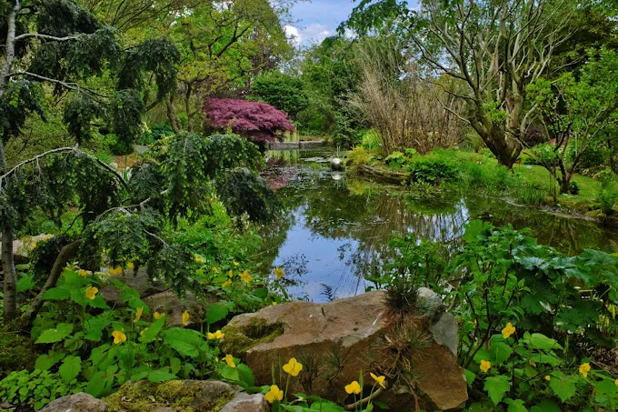 Sortie découverte – Le jardin de Valérianes à Buchy