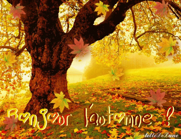 Mise en hivernage du terrain – A chacun son panier